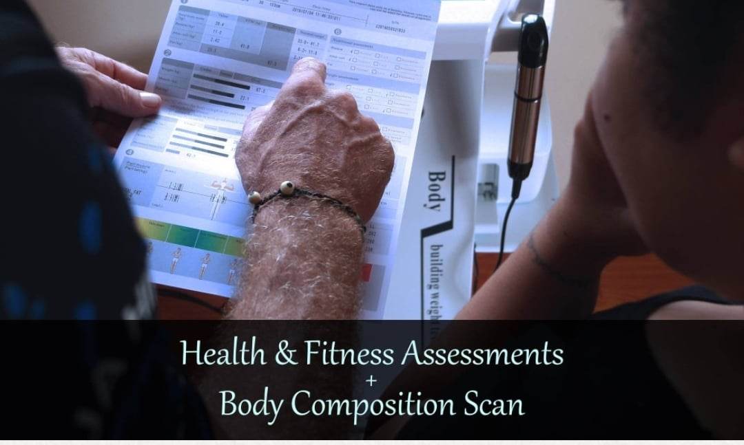 Palapon Body Composition Scan